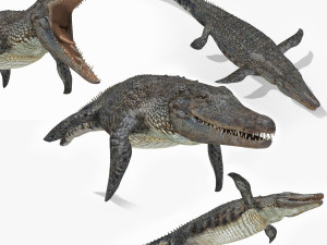 Mosasaurus Rex - 8K animated 3D Model